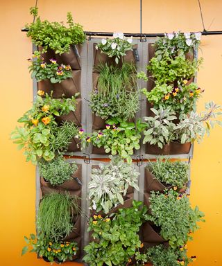 pocket wall planter filled with herbs and hanging on a bright yellow wall