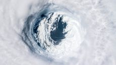 Climate change is pushing hurricanes to their extremes. In 2018, Hurricane Michael (shown here in this digitally enhanced image) became the first Category 5 hurricane to make landfall on the Florida Panhandle.