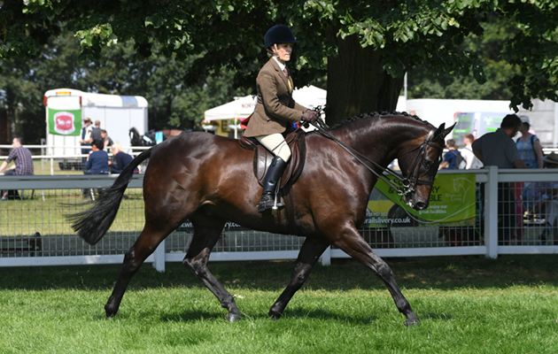 The Royal Norfolk Show 27 06 2018
