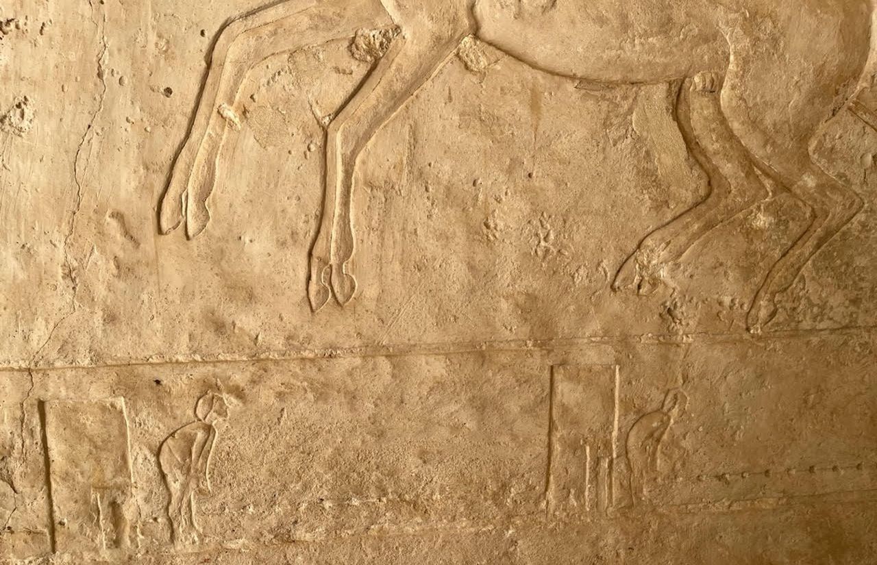 a close-up of engravings on a tomb wall showing a rearing horse and guards at watch posts