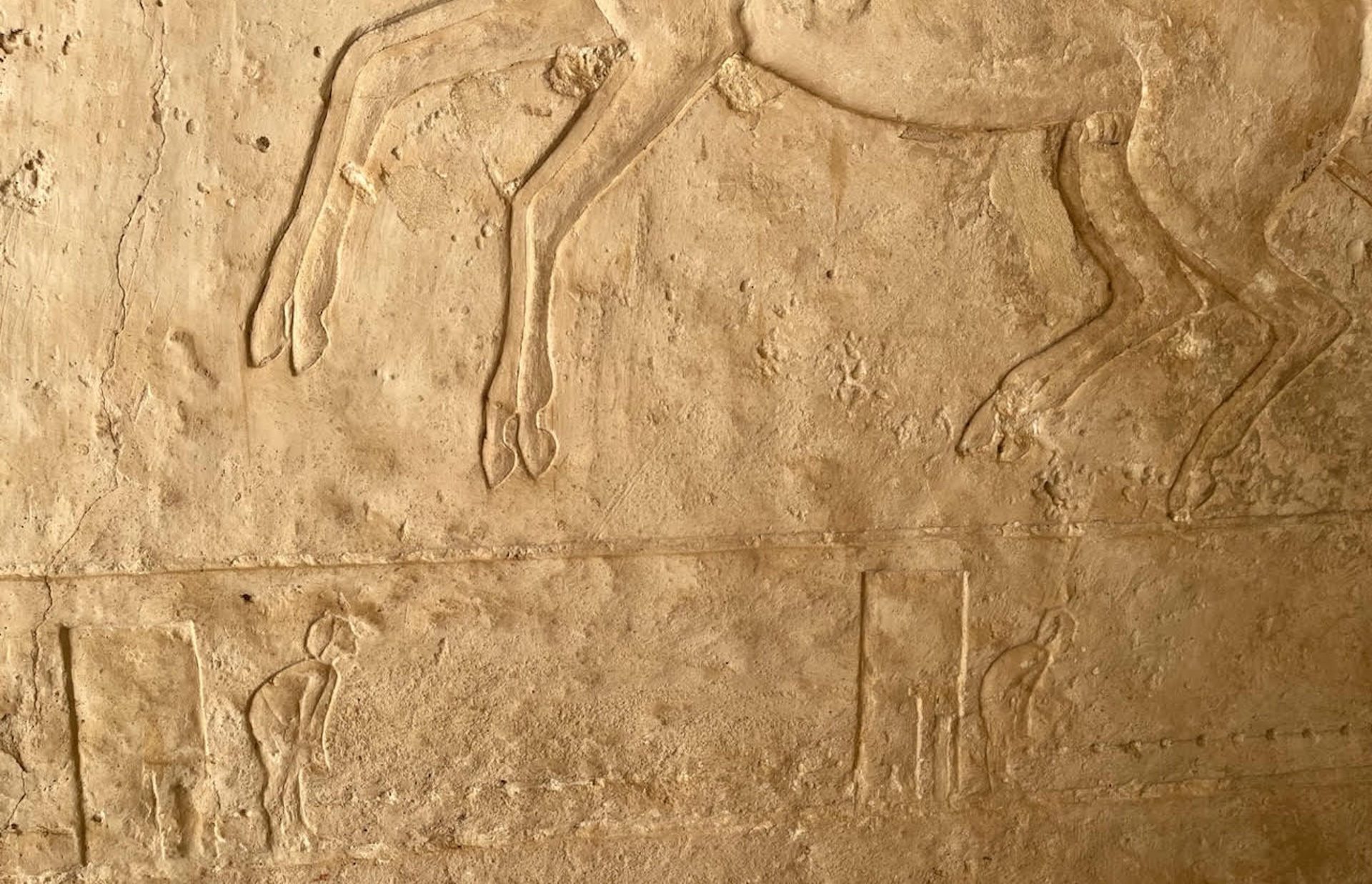 a close-up of engravings on a tomb wall showing a rearing horse and guards at watch posts
