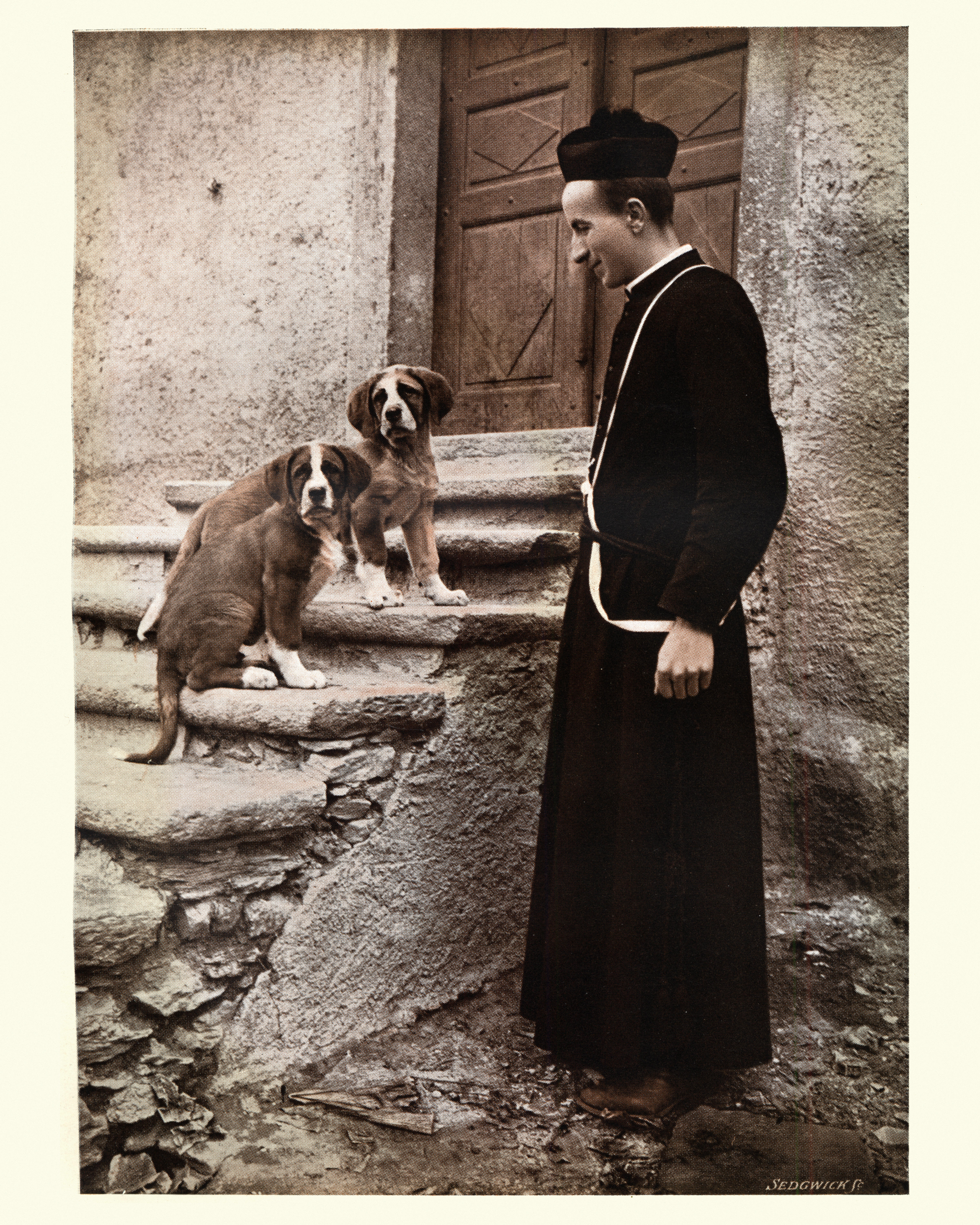 A monk in a dark robe stands beside two St Bernard puppies sitting on worn stone steps outside a building.