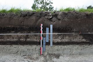 Medieval wetlands site in Belgium