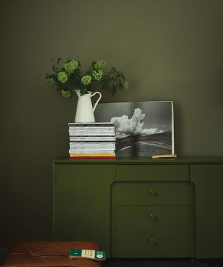 Olive green by Farrow & Ball