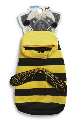 Primark bumblebee dog outfit