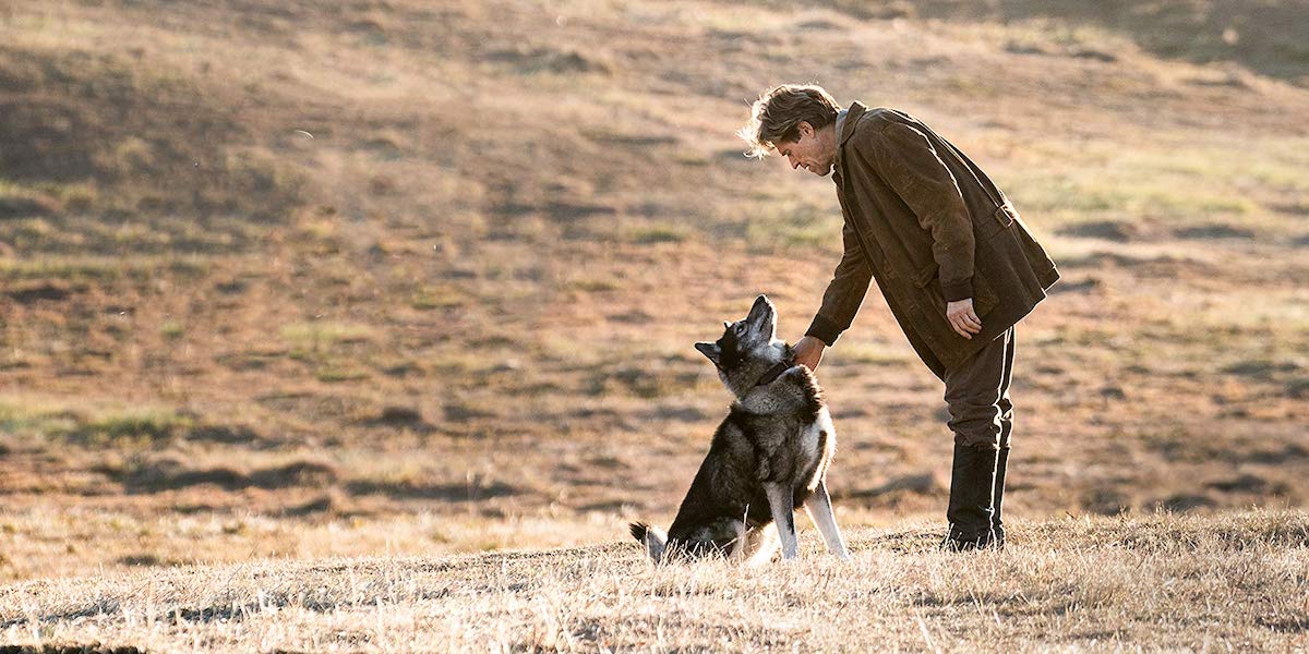 Trailer: Lassie (2020) - the adventure of the most famous dog