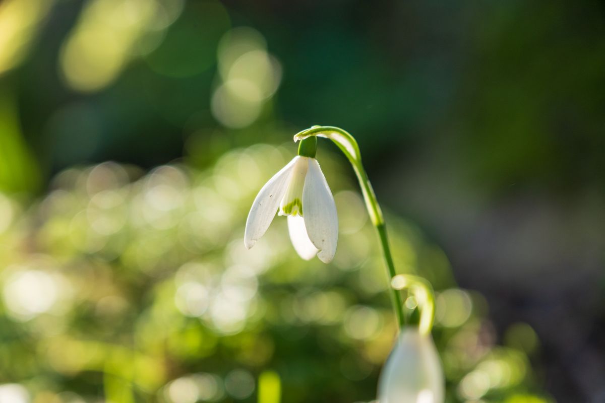 Sample image taken with a Fujifilm XF 16-55mm f/2.8 R LM WR II lens and Fujifilm X-T5 camera