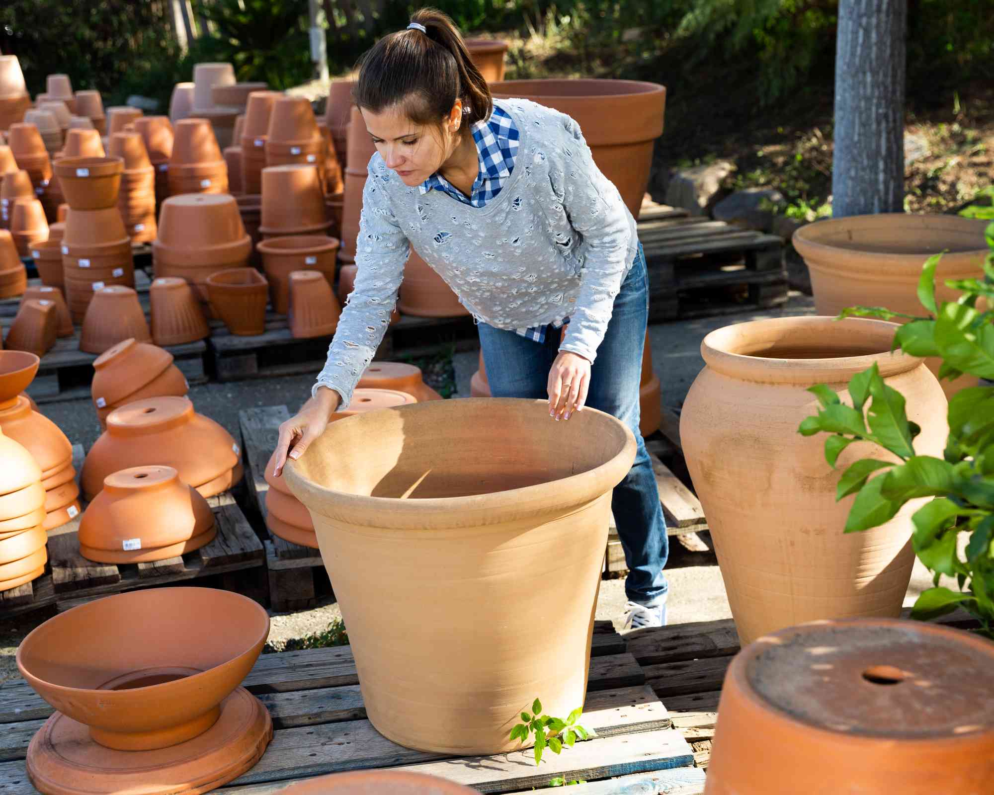 Large planter pot terracotta