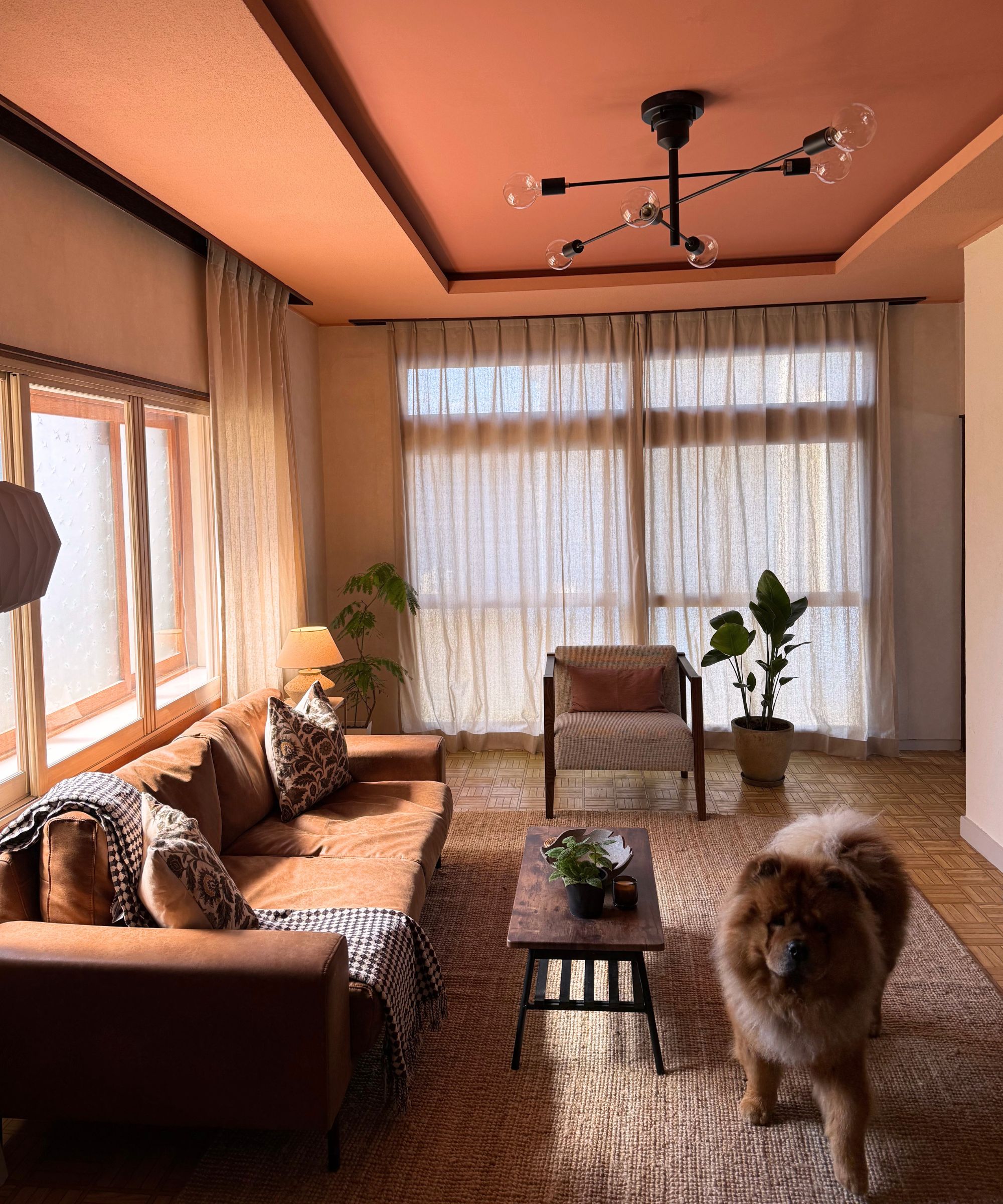Living room with Naperon by Farrow &amp;amp; Ball painted ceiling, parquet floor with a jute rug, an orange sofa with leopard print cushions, an angular chandelier and a fluffy large dog.