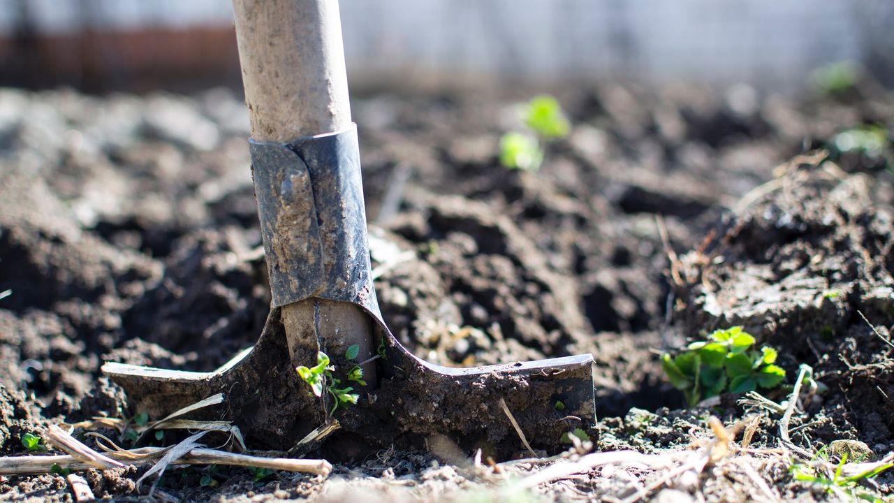 The best gardening books