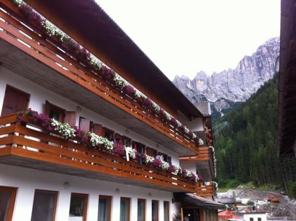 Beautiful flower boxes bring some cheer.