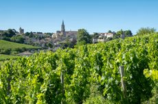 St-Emilion-2019.jpg