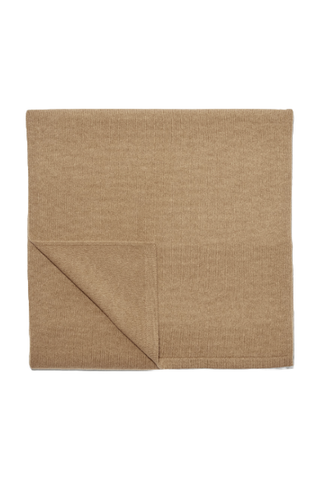 Everlane The Cashmere Scarf