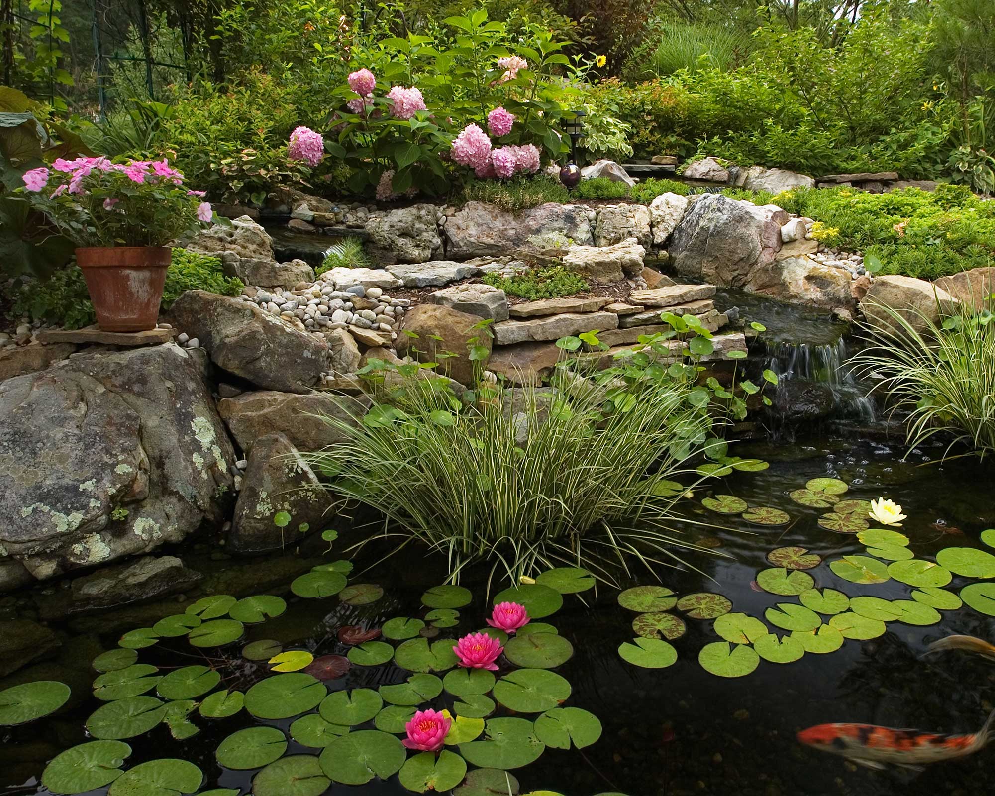 nature pond with waterfall and plants