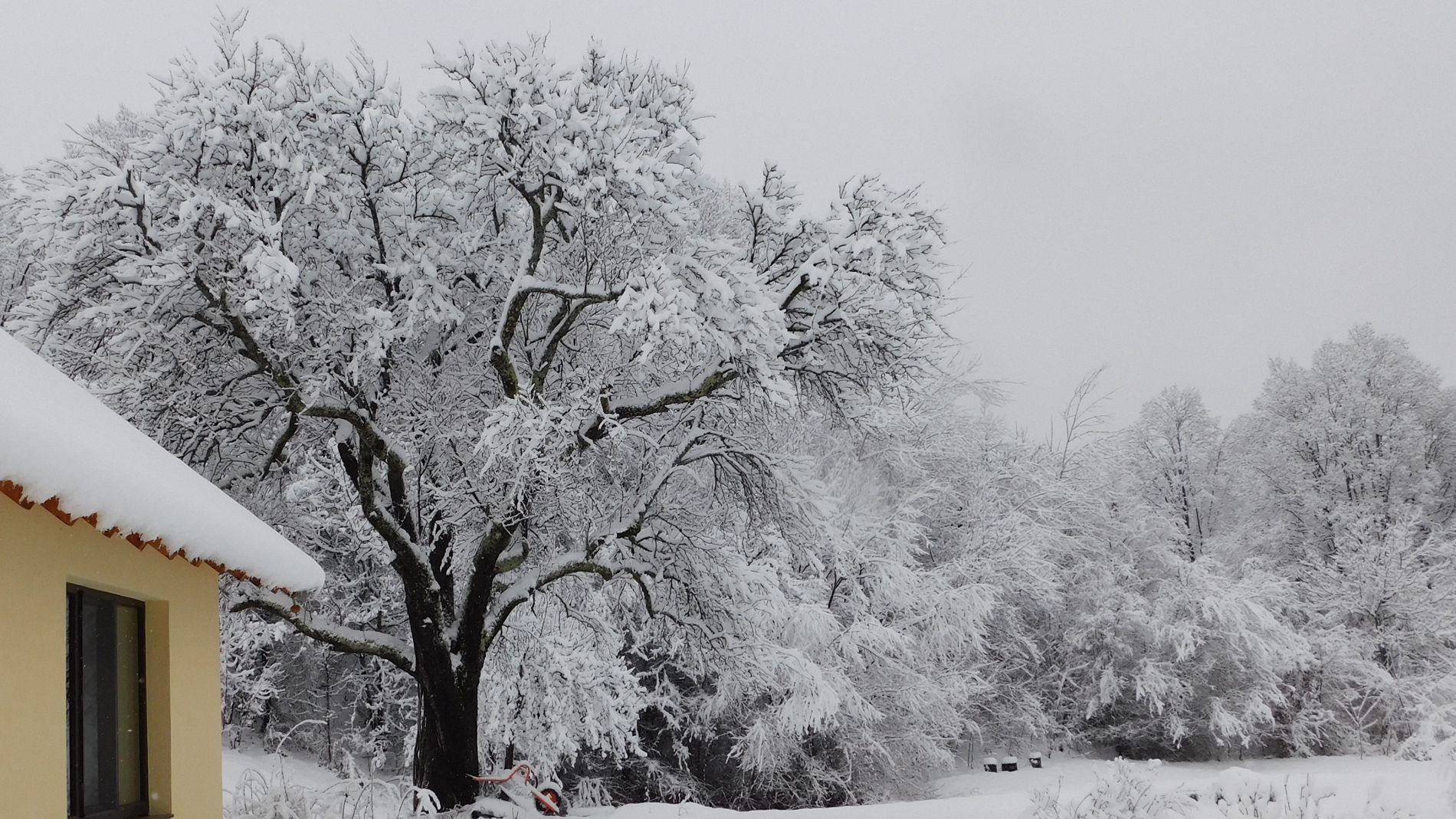 GuruShots - February 2026