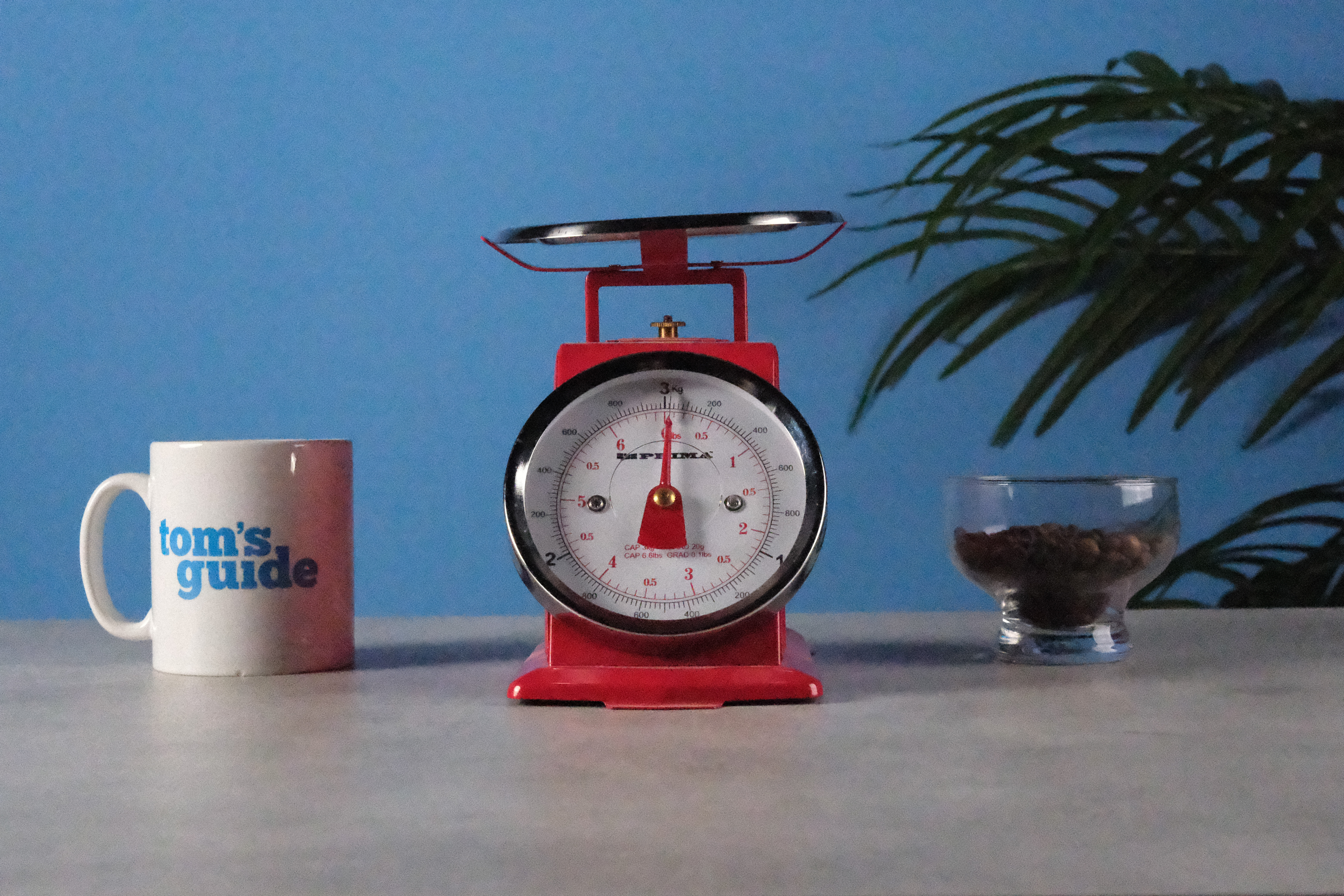 An image of a set of red scales taken on the Fujifilm X-T30 III