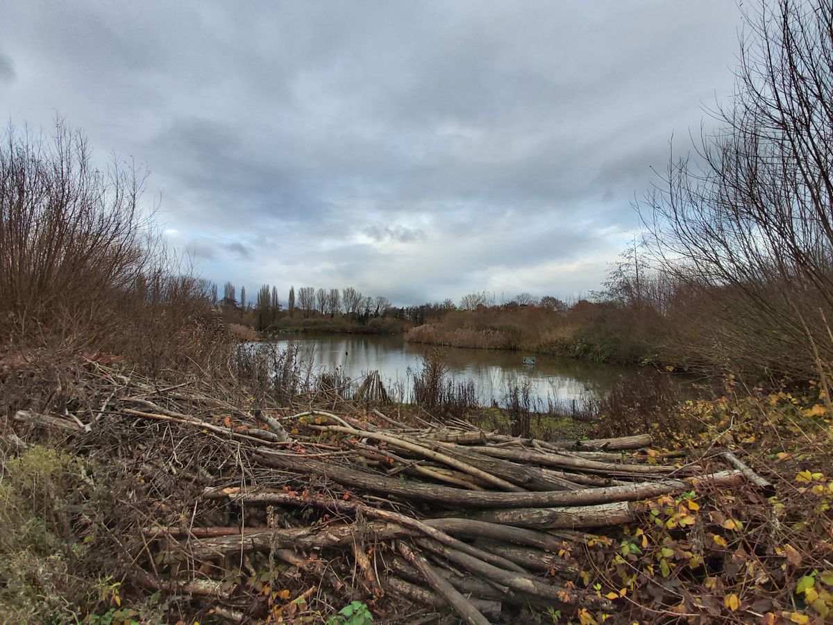 The wide camera&rsquo;s images often look fine, just don&rsquo;t zoom or crop too much as the 8MP sensor can&rsquo;t deal with such scrutiny.