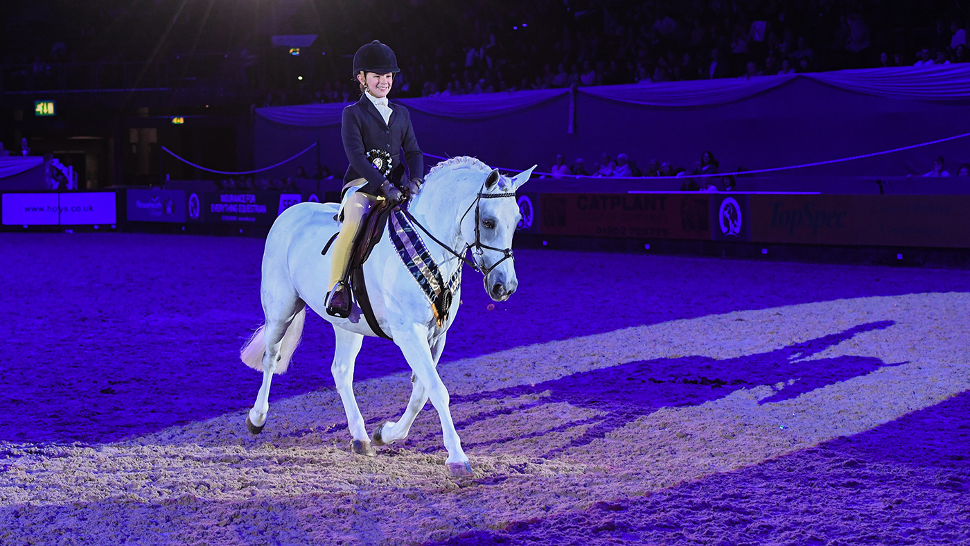 hoys supreme pony