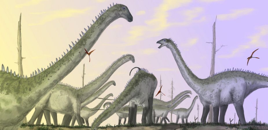 Sauropods were huge animals