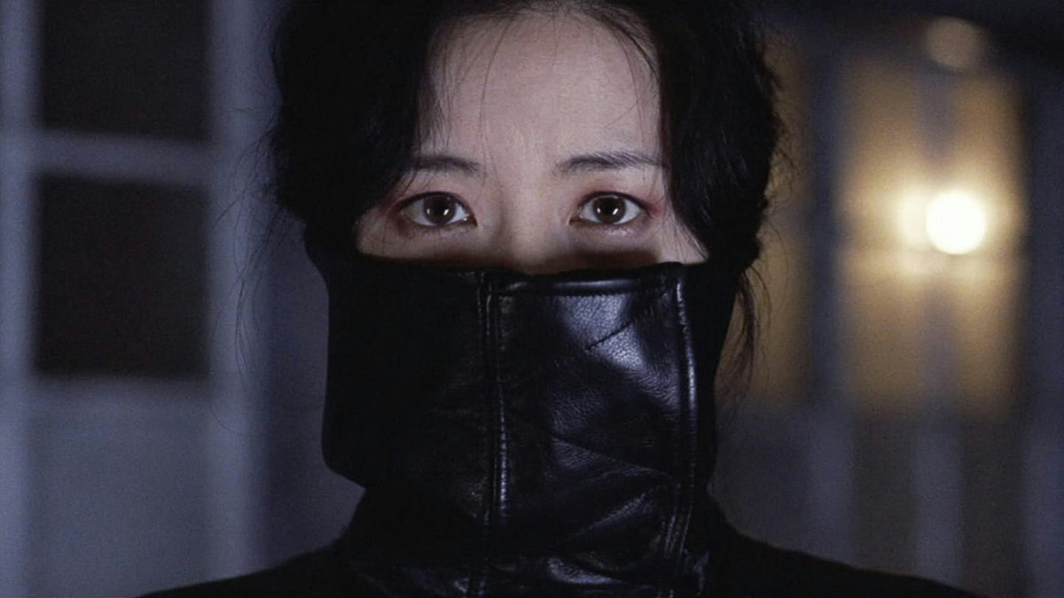 Park Chan-Wook&#039;s Lady Vengance