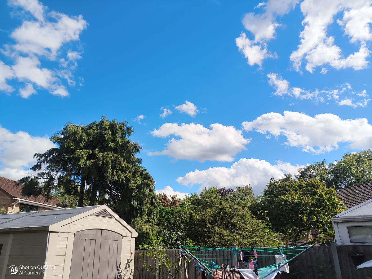 Oukitel WP500 Ultra camera examples