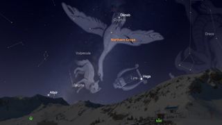 See the Northern Cross asterism in the constellation of Cygnus, the swan, above the western horizon after sunset.