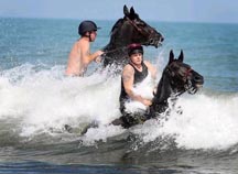 Household_Cavalry.jpg