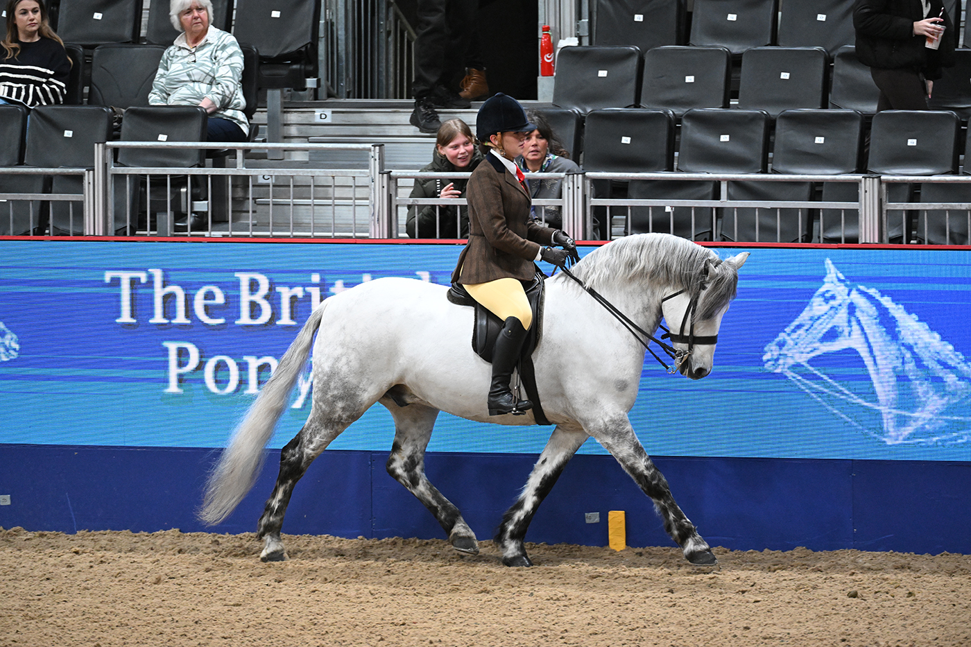 HorseNo4_LIHS_PN23_120579
