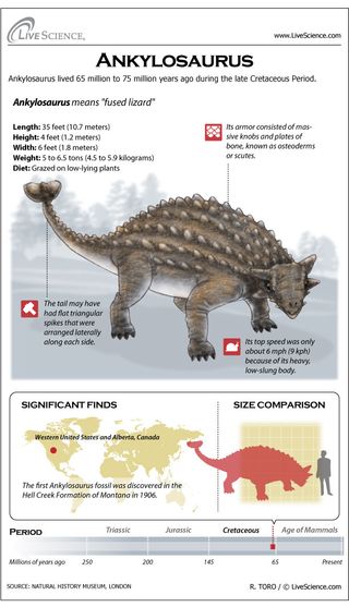 Learn about the plated Cretaceous-era dinosaur Ankylosaurus.