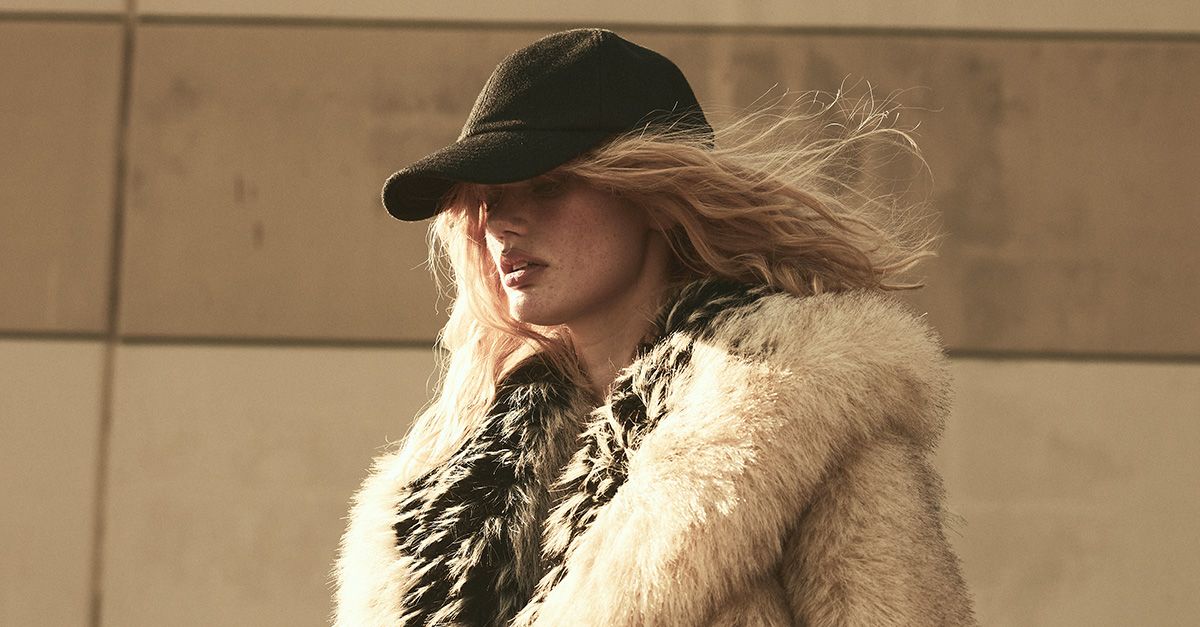 Everything to Know About Rob Zangardi’s Brand, Auter