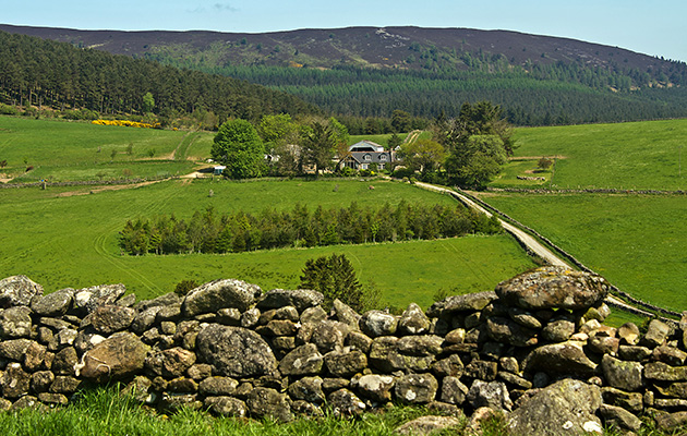 NEW Whitehills Farm_146077982_237180522