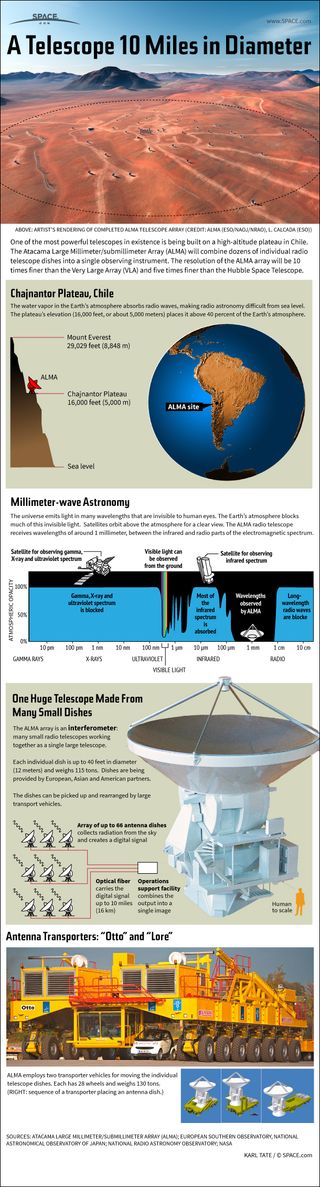 Made up of dozens of small radio telescope dishes, the ALMA telescope will be one of the most powerful in the world. See how the giant ALMA radio telescope works in this Space.com infographic.