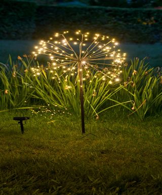 Outdoor dandelion light near flowers and grass