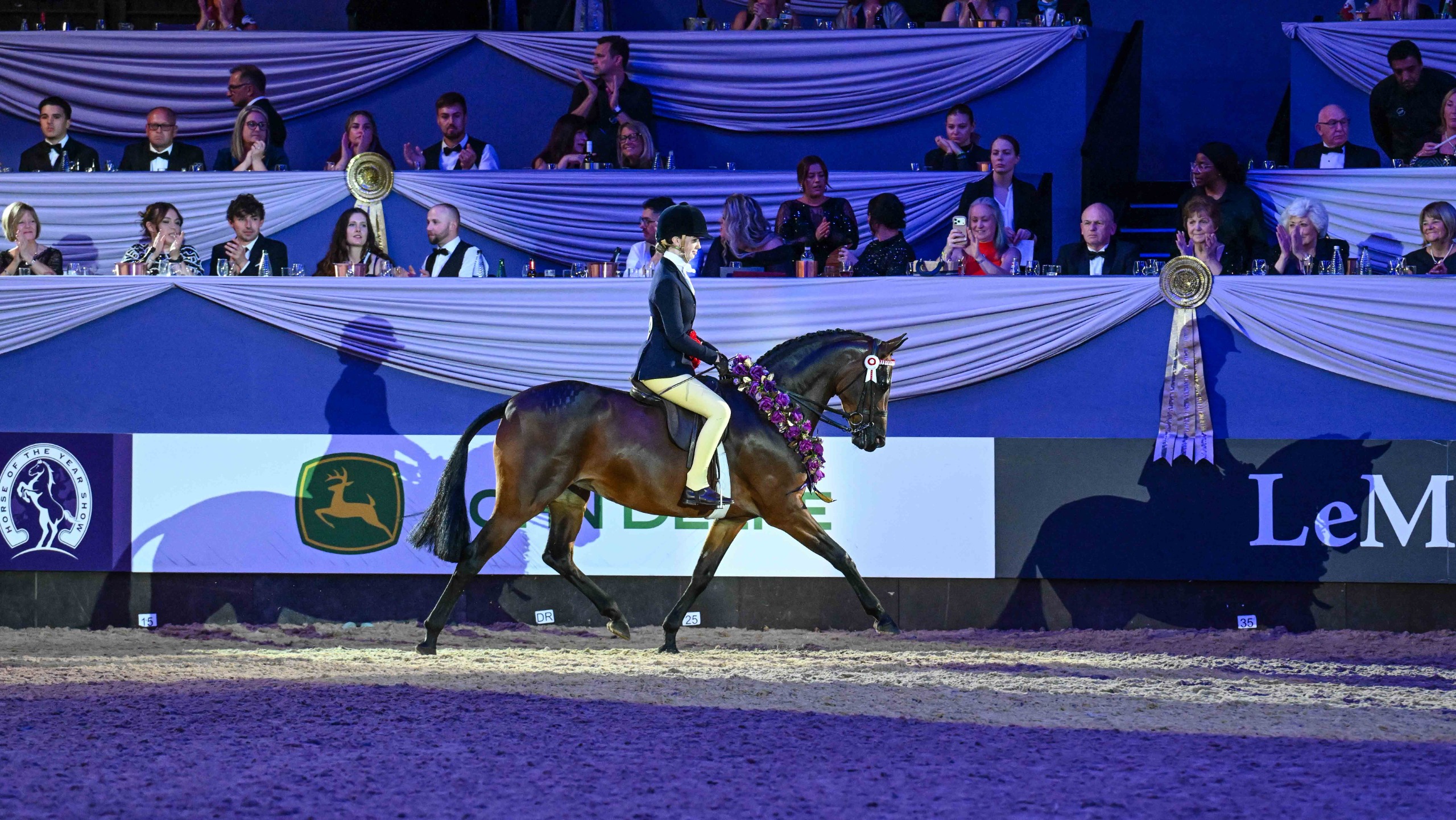 Tandridge State Affair and Florrie Duncalf under the lights at HOYS 2026