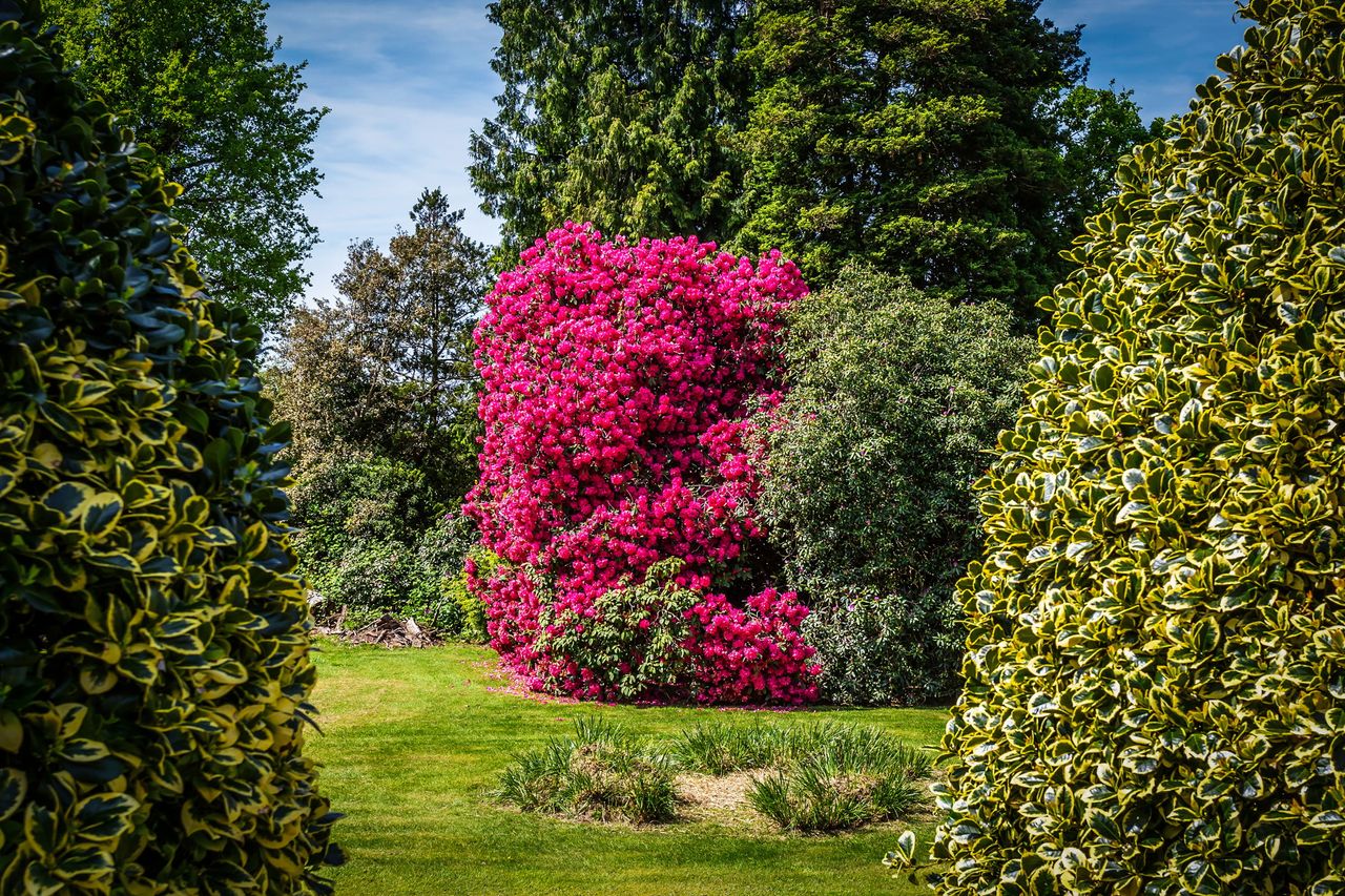 Images of Deerpark, East Grinstead