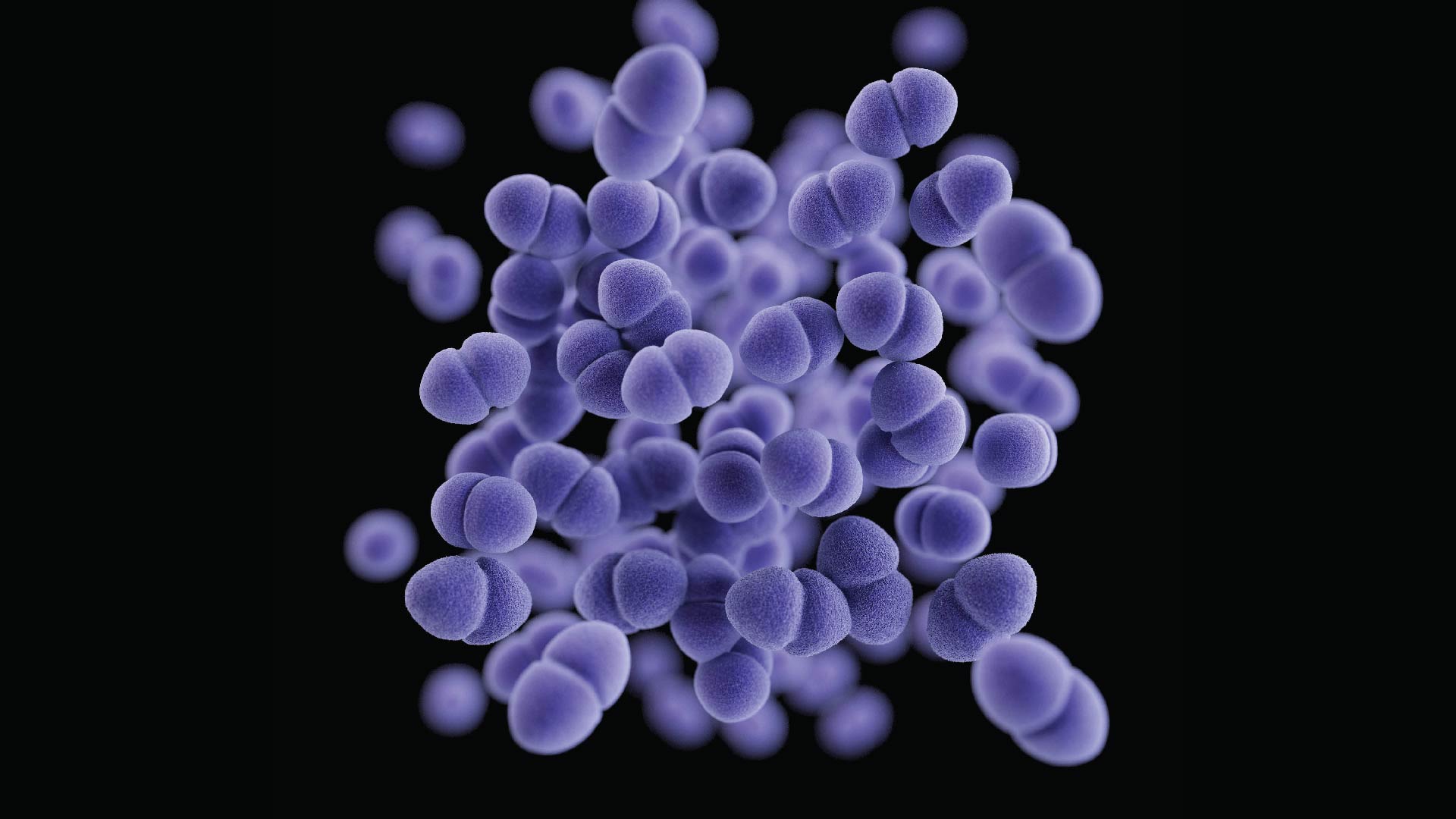 This illustration depicts a three-dimensional (3D) computer-generated image of a cluster of paired, or diplococcal, vancomycin-resistant Enterococcus (VRE) bacteria.