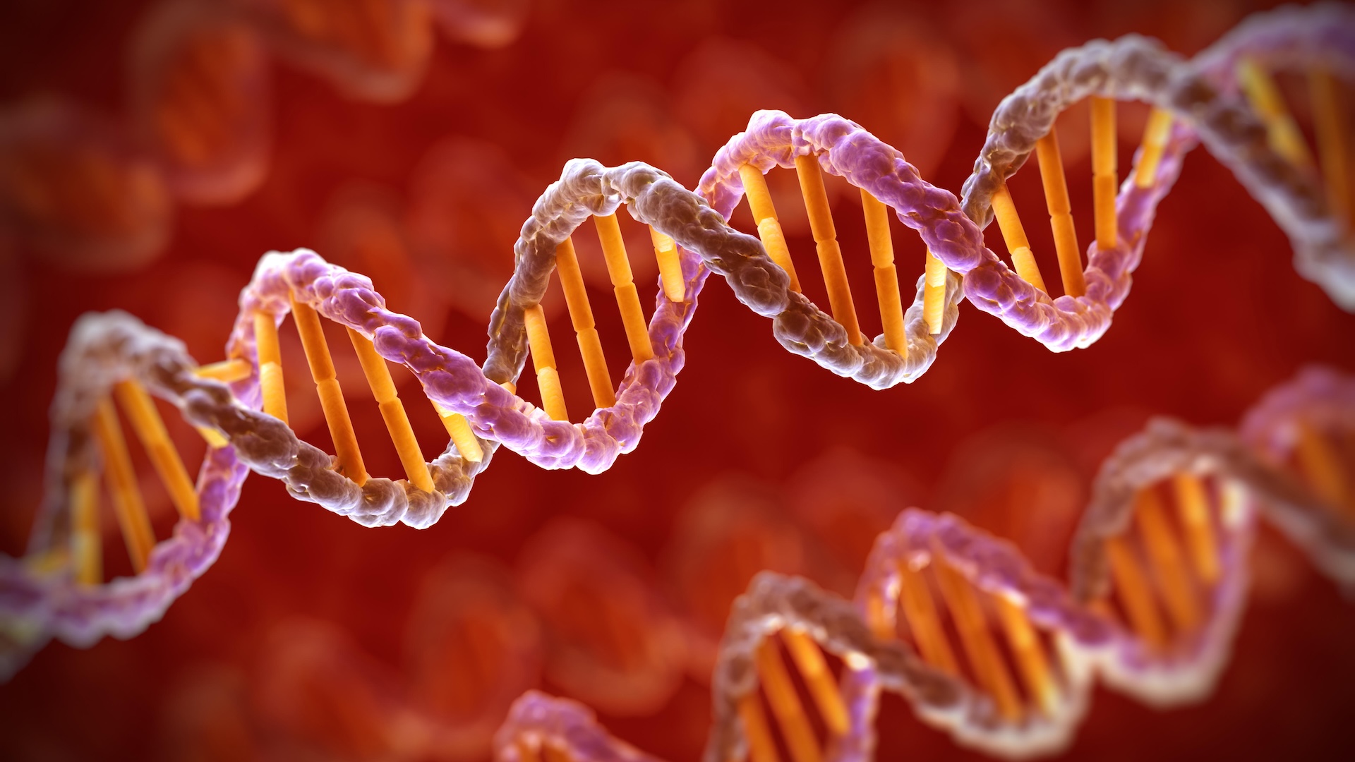an illustration of DNA