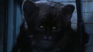 Hermione Granger transforms into a cat in Chamber of Secrets