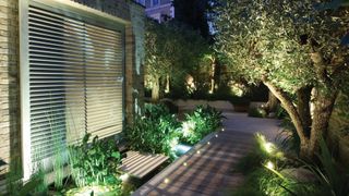 garden lighting in a contemporary settig