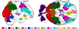 brain imagination map