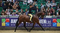 2024 HOYS part-bred pony of the year