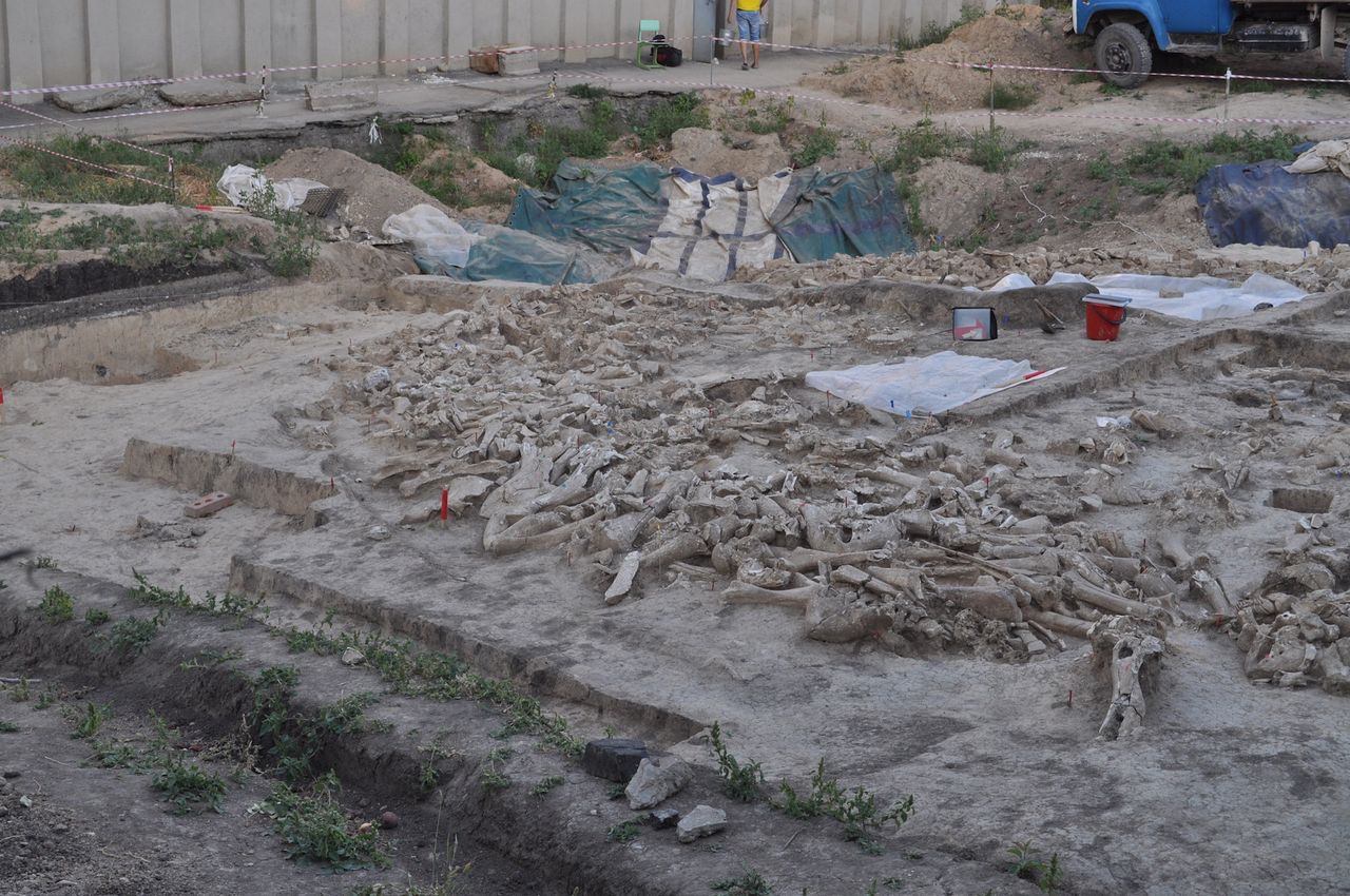 This structure may have served as a house, a storage facility for meat or even a place for rituals.