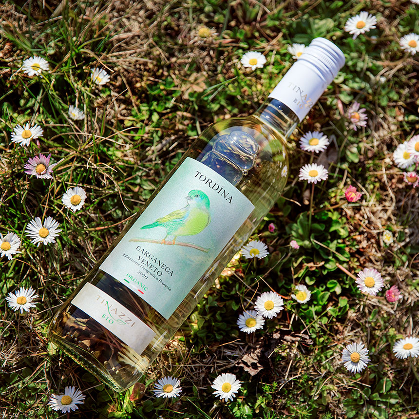 Tordina Garganega Venetox