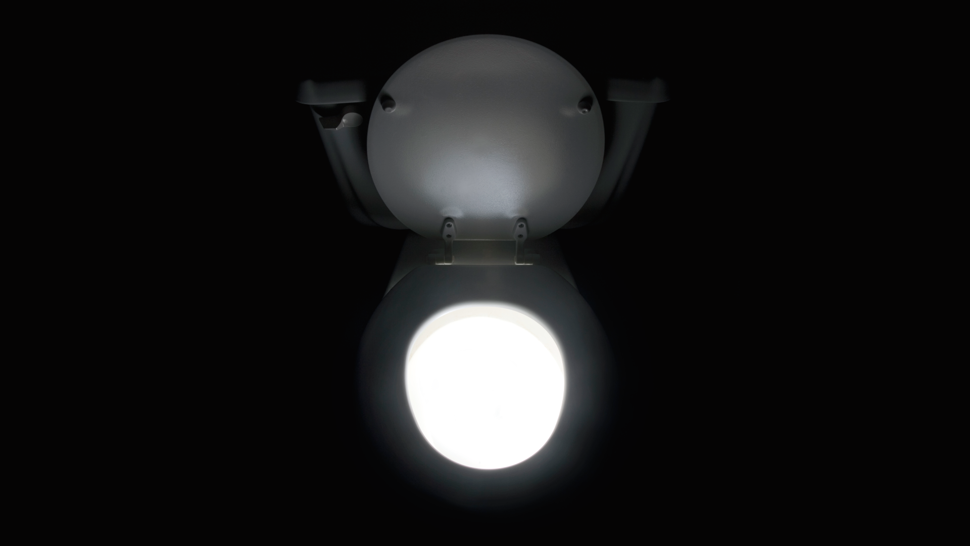 Japanese toilet manufacturer reportedly 'most undervalued and overlooked' beneficiary of AI boom