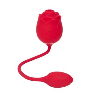 Lovehoney rose sex toy with love egg
