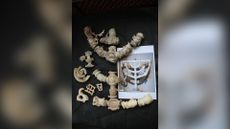 Among the finds are this spectacular broken menorah, or ceremonial candlestick, representing the seven-branched menorah in the Temple in Jerusalem.