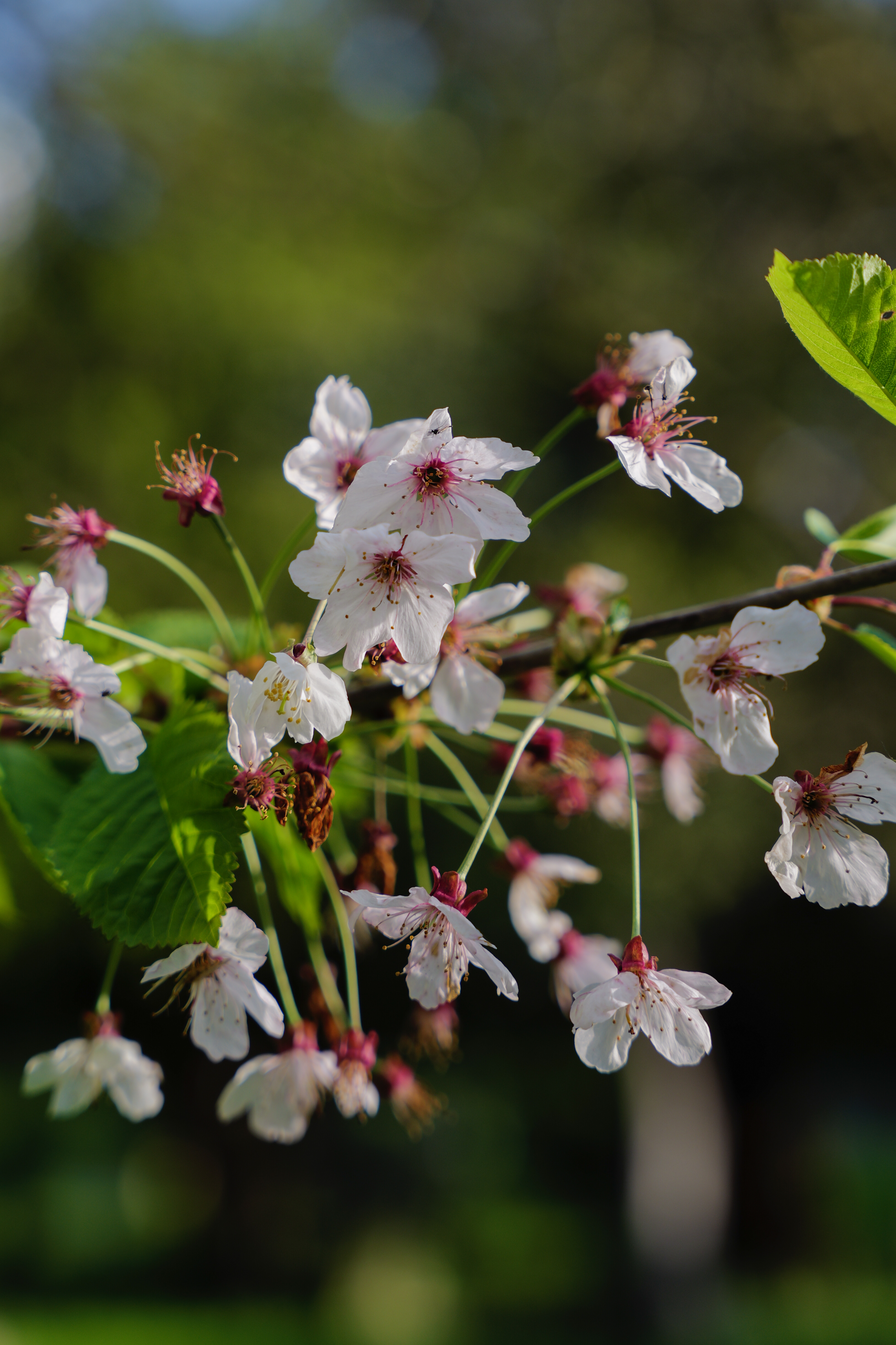 A photo taken on a Leica SL3-S mirrorless camera