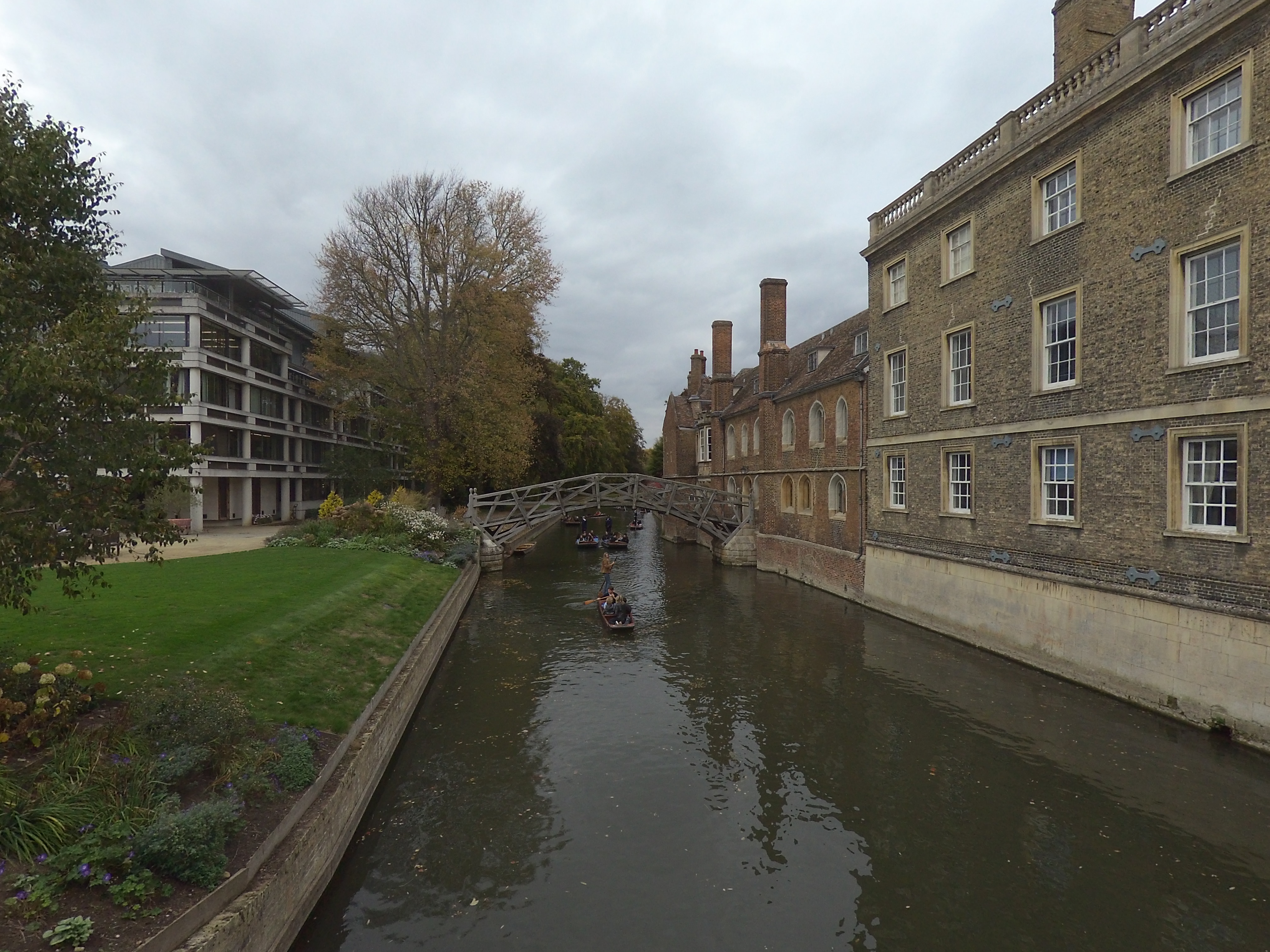 Enlaps Tikee Mini+ field of view example