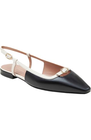 Cassidy Pointed Toe Slingback Flat