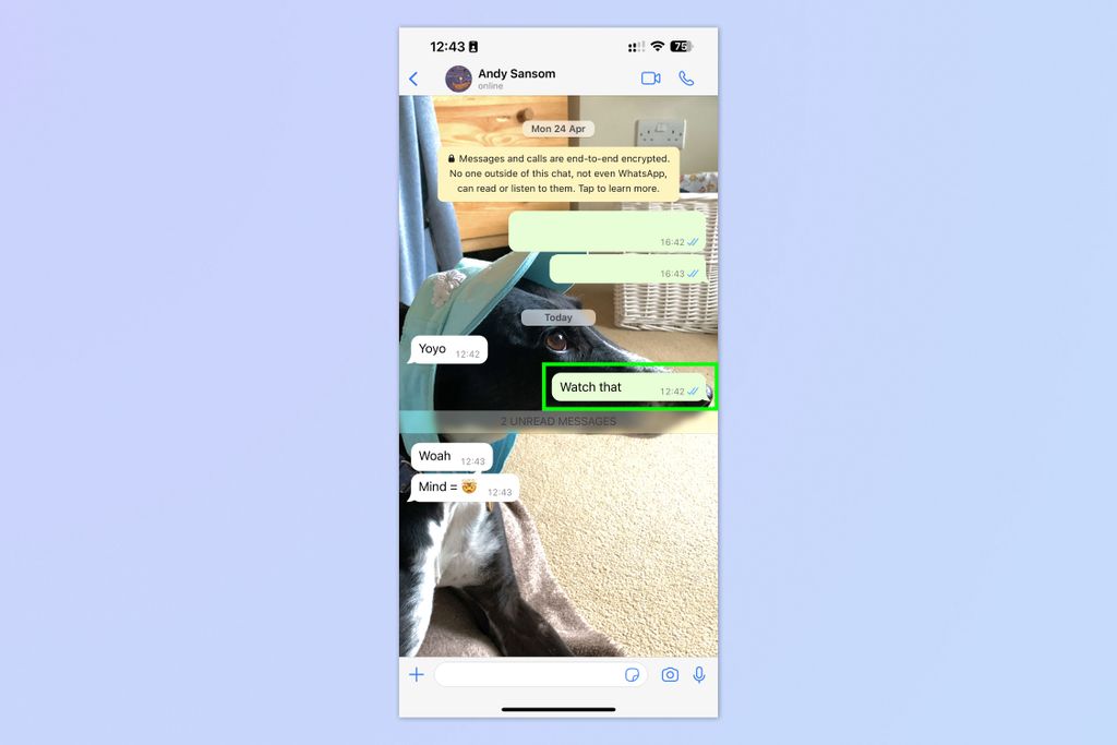 how-to-edit-whatsapp-messages-on-ios-and-android-tom-s-guide